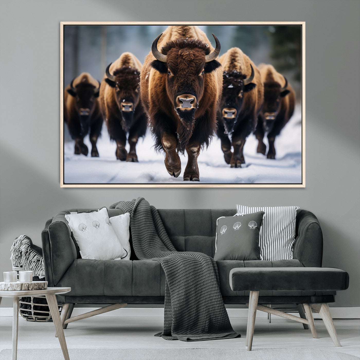 MGV-FC-36X24 - Buffalo Wall Art Canvas Print, American Bison Herd Wall Art Canvas Print - Bison Canvas Print