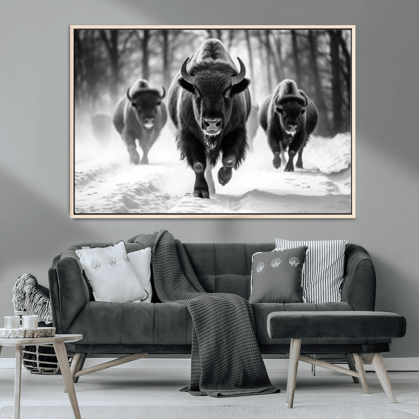 MGV-FC-36X24 - Buffalo Wall Art Canvas Print, Bison Family Wall Art Canvas Print