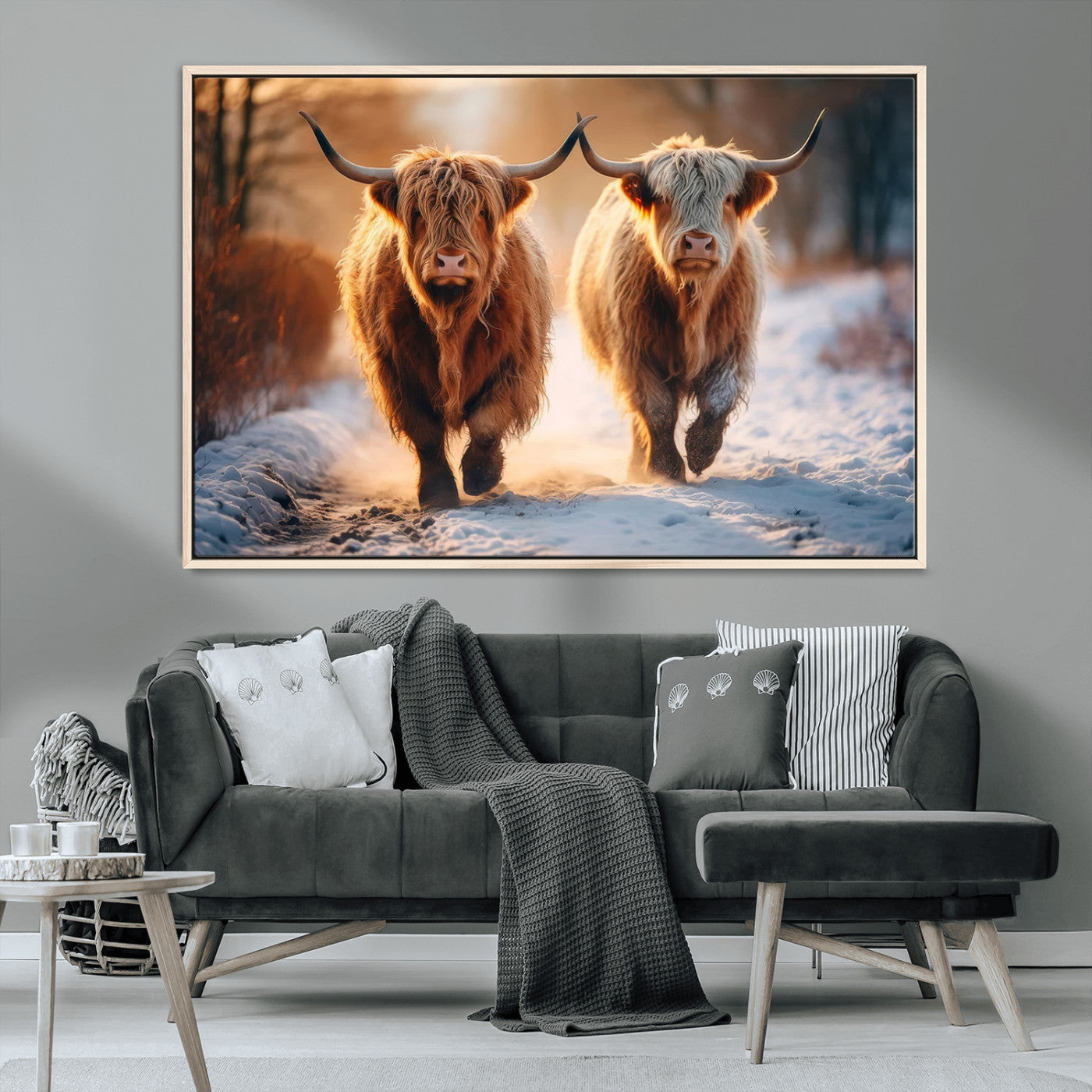MGV-FC-36X24 - Scottish Highland Cow Horn Farm Wall Art Canvas Print