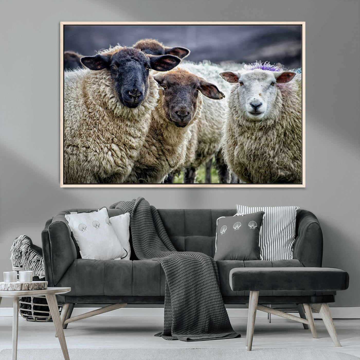 -Charming Sheep Portrait Wall Art – Trio of Woolly Companions Canvas Print, Framed, Ready to Hang