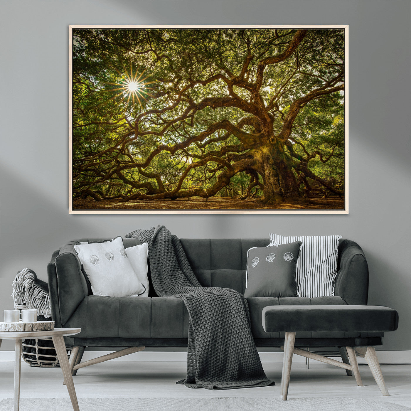 MGV-FC-36X24 - Ancient Angel Oak Tree Art Sunburst Canvas Print- Nature-Inspired Triptych Canvas Print, Framed, Ready to Hang