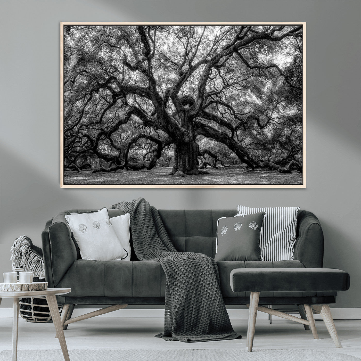 MGV-FC-36X24 - Black and White Old Angel Oak Tree Wall Art Canvas Print