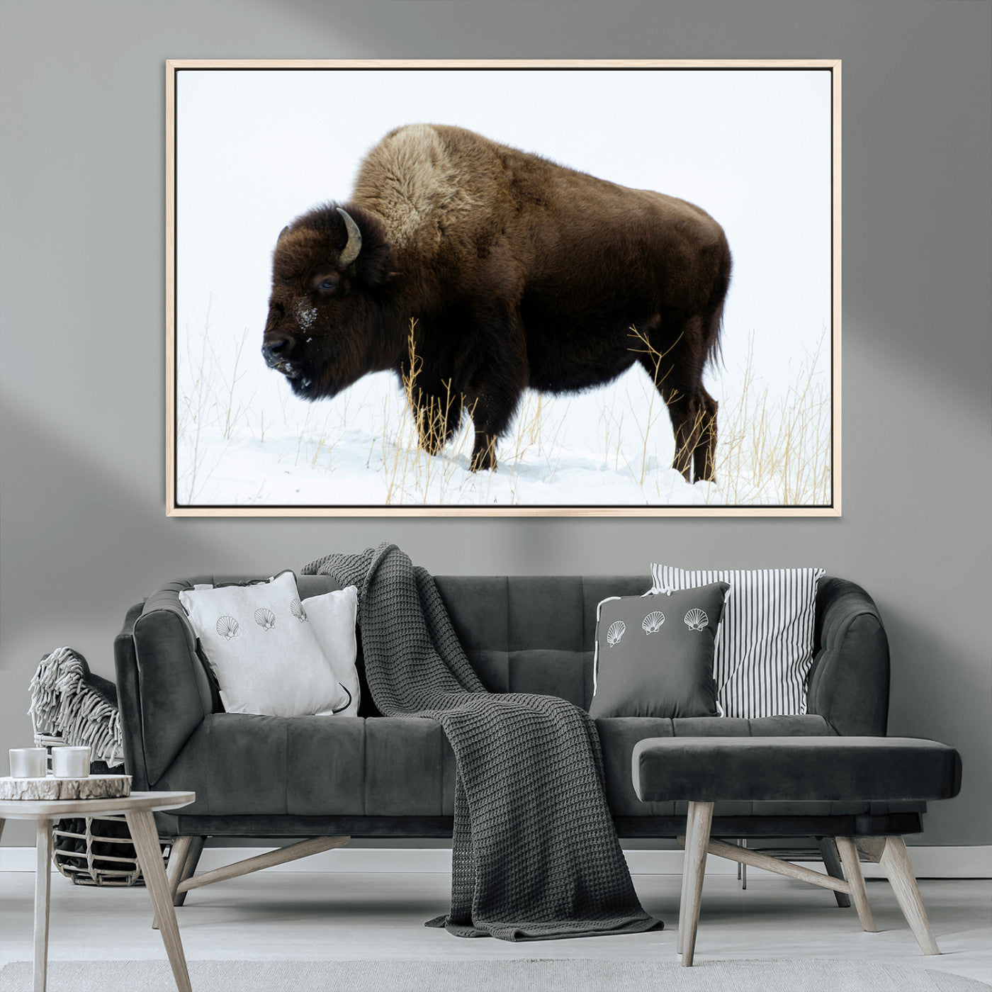 MGV-FC-36X24 - Bison Photography Wall Art Canvas Print, Framed Western Wildlife Art Picture Print, Buffalo On Snow Perfect Western Decor Artwork