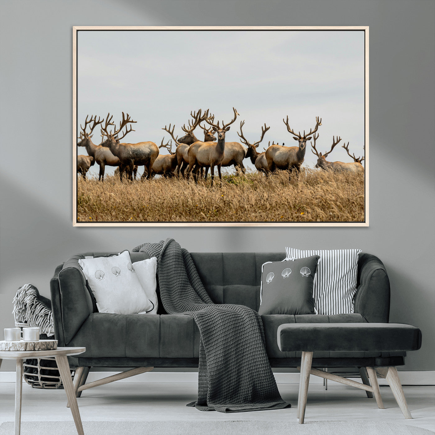 MGV-FC-36X24 - Elk Herd Wall Art Canvas Print, Framed Wildlife Photography Art Picture Print, Majestic Antlers Perfect Rustic Wildlife Decor Artwork