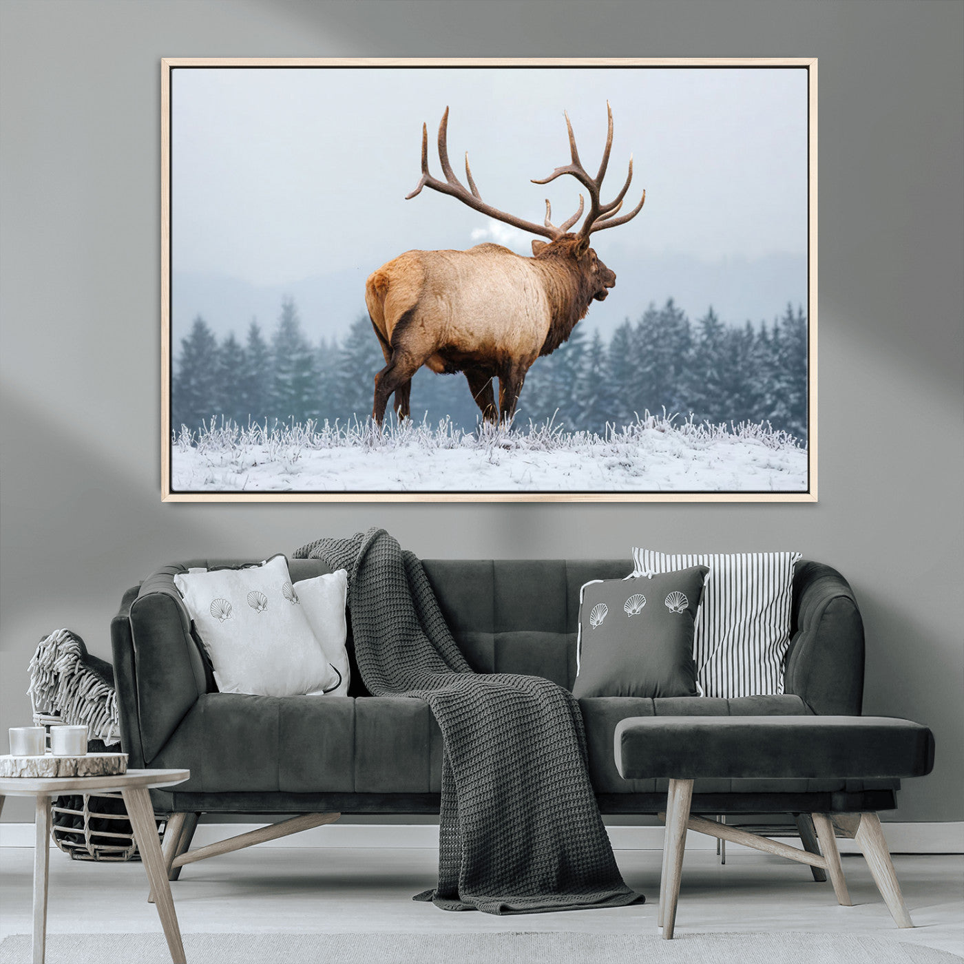 A majestic elk standing in a snowy landscape, with large antlers, set against a backdrop of evergreen trees and a soft winter sky.