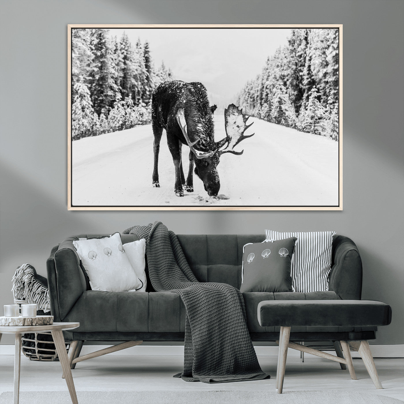 A majestic moose grazing in the snow-covered wilderness, surrounded by snow-covered trees, creating a peaceful winter scene.