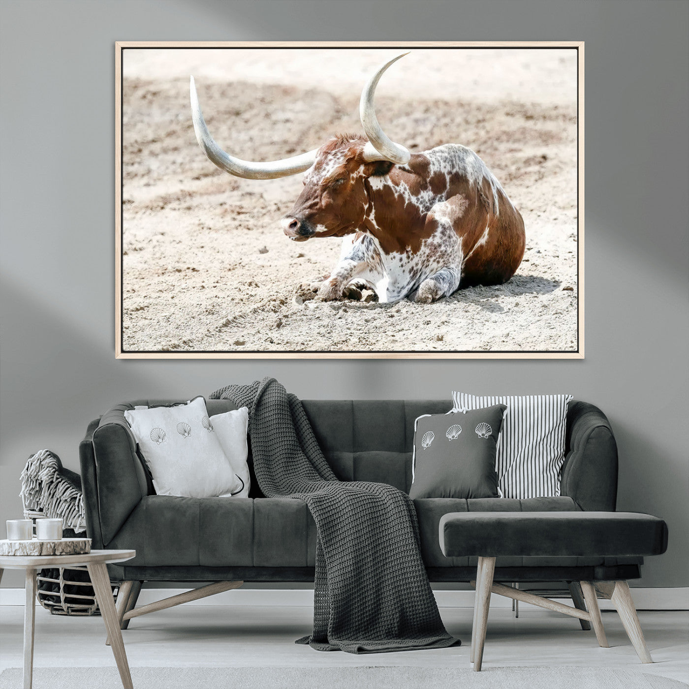 MGV-FC-36X24 - Majestic Longhorn Resting on Sunlit Desert Ground – Striking Western-Themed Wall Art Canvas Print