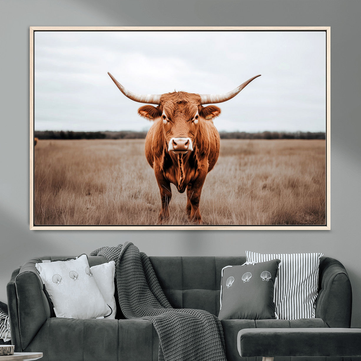16316734-MGV-FC-36X24 - Longhorn bull, open field, rustic charm, natural beauty, Wall Art Canvas Print, countryside,