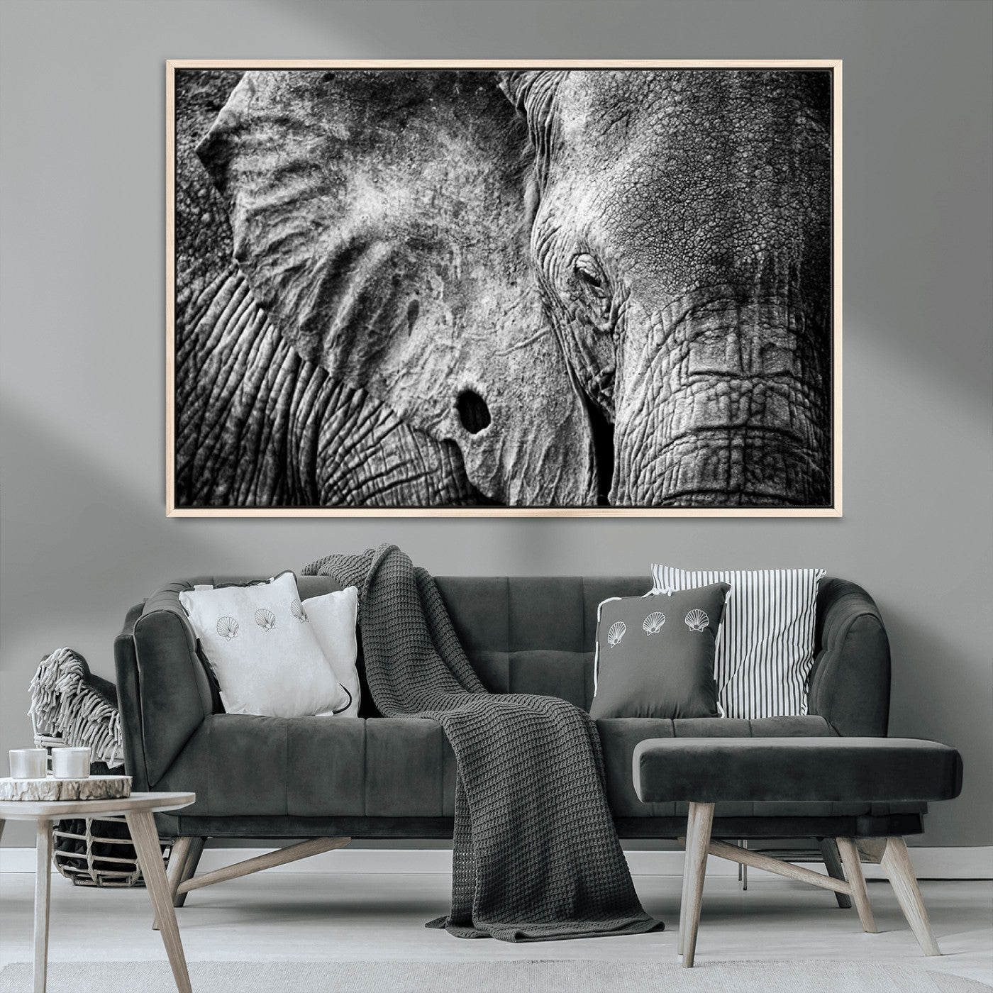 MGV-FC-36X24 - Wild Old Elephant Wall Art Canvas Print