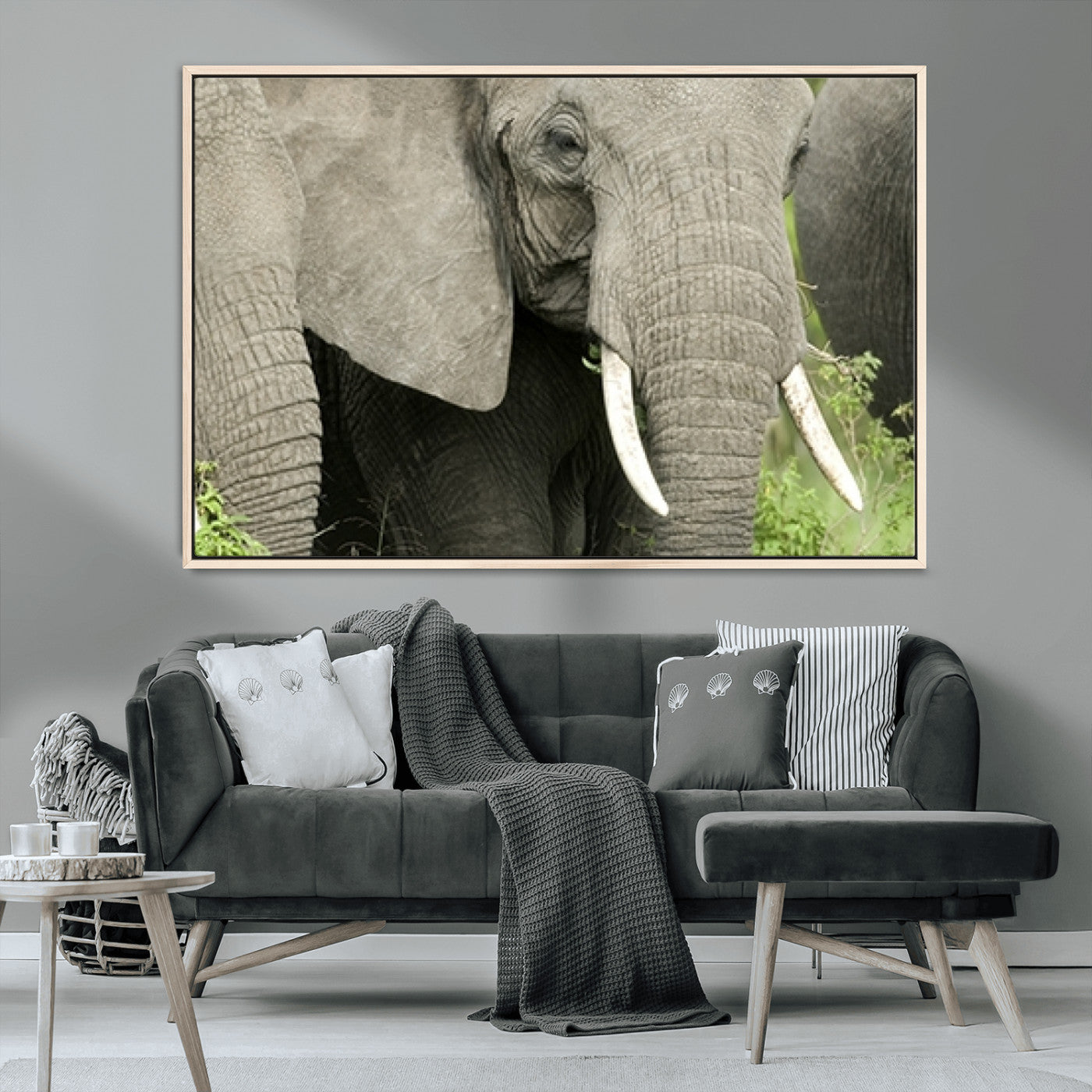 MGV-FC-36X24 - Wild Elephant Wall Art Canvas Print
