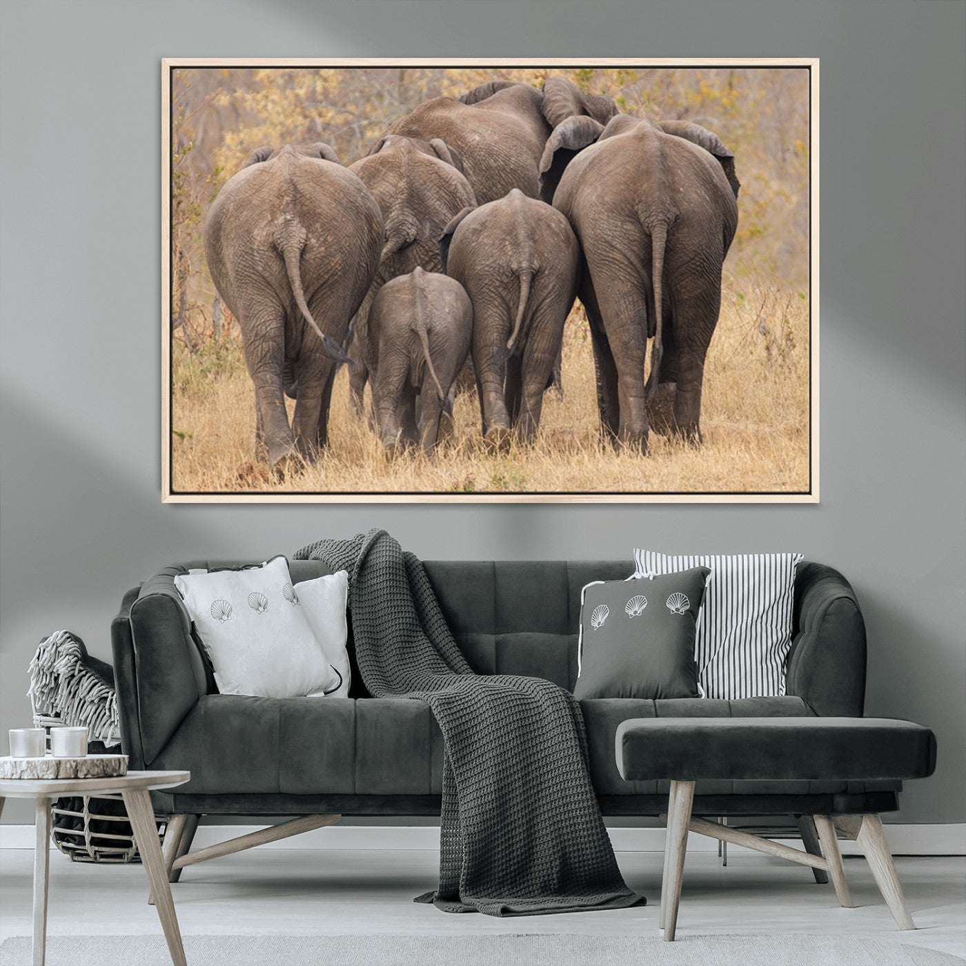 MGV-FC-36X24 - Wild Elephant Wall Art Canvas Print