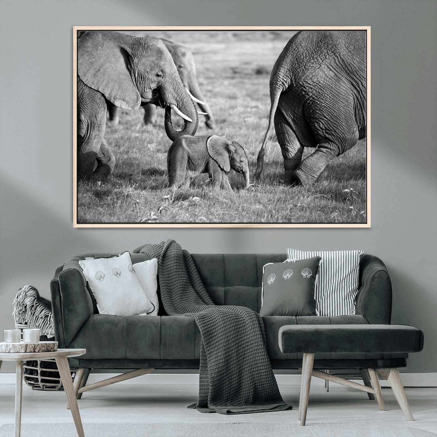 MGV-FC-36X24 - Wild Elephant Wall Art Canvas Print