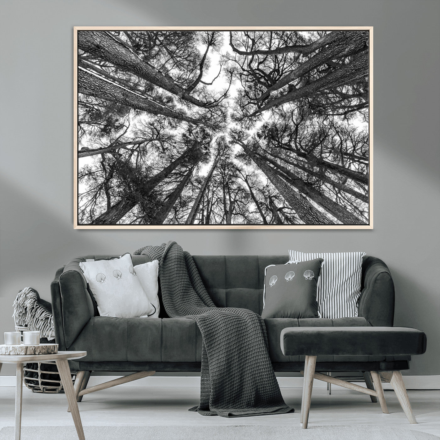 MGV-FC-36X24 - Trees Contemporary Art Canvas Print