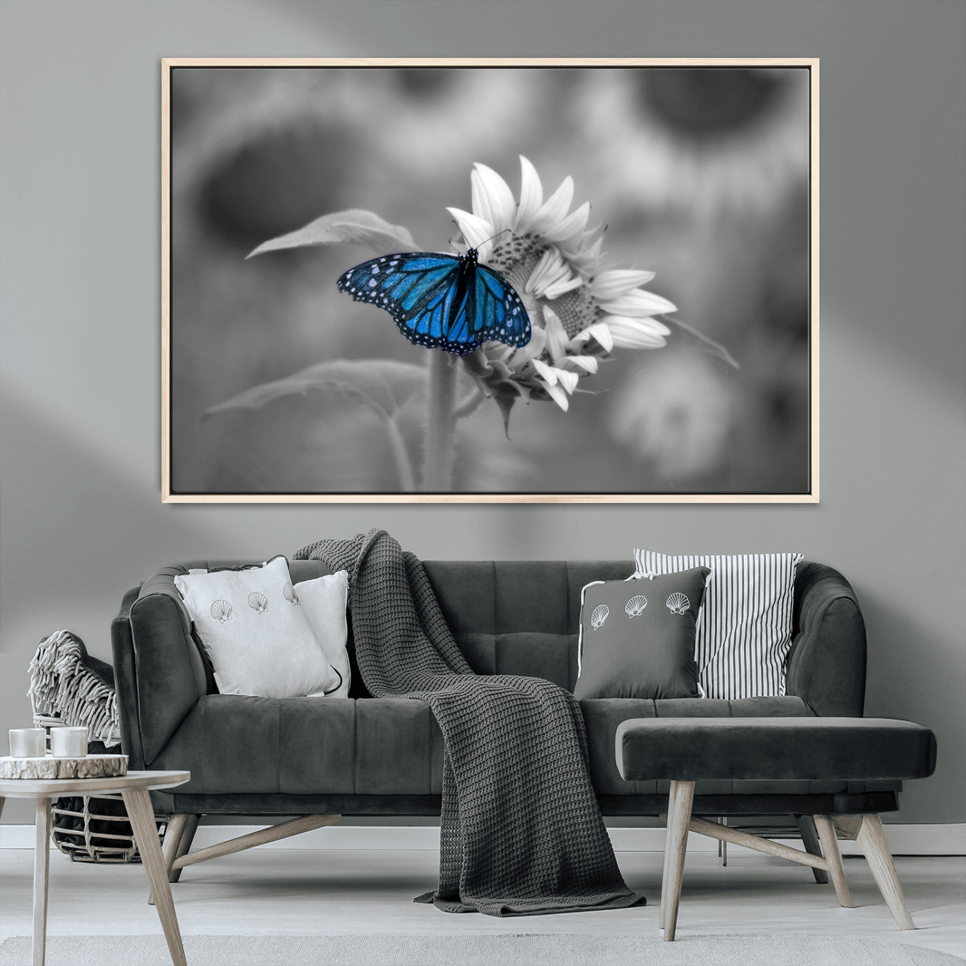 MGV-FC-36X24 - Blue Butterfly Black and White Canvas Wall Art