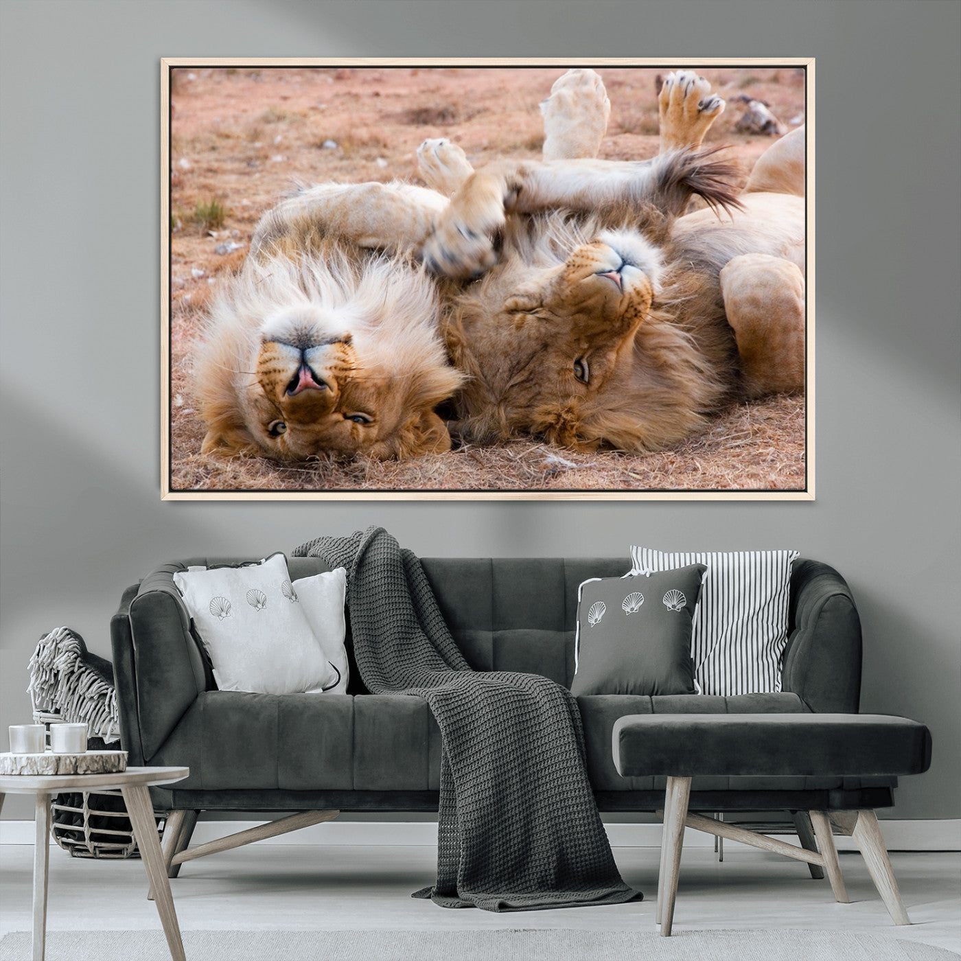 MGV-FC-36X24 - Animal Wall Art Lion Canvas Print