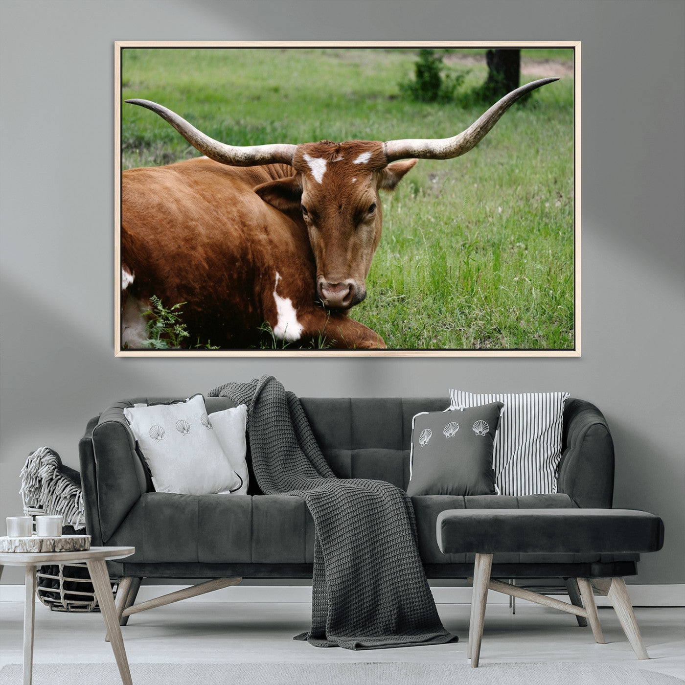 MGV-FC-36X24 - Longhorn Cow Animal Wall Art Canvas Print