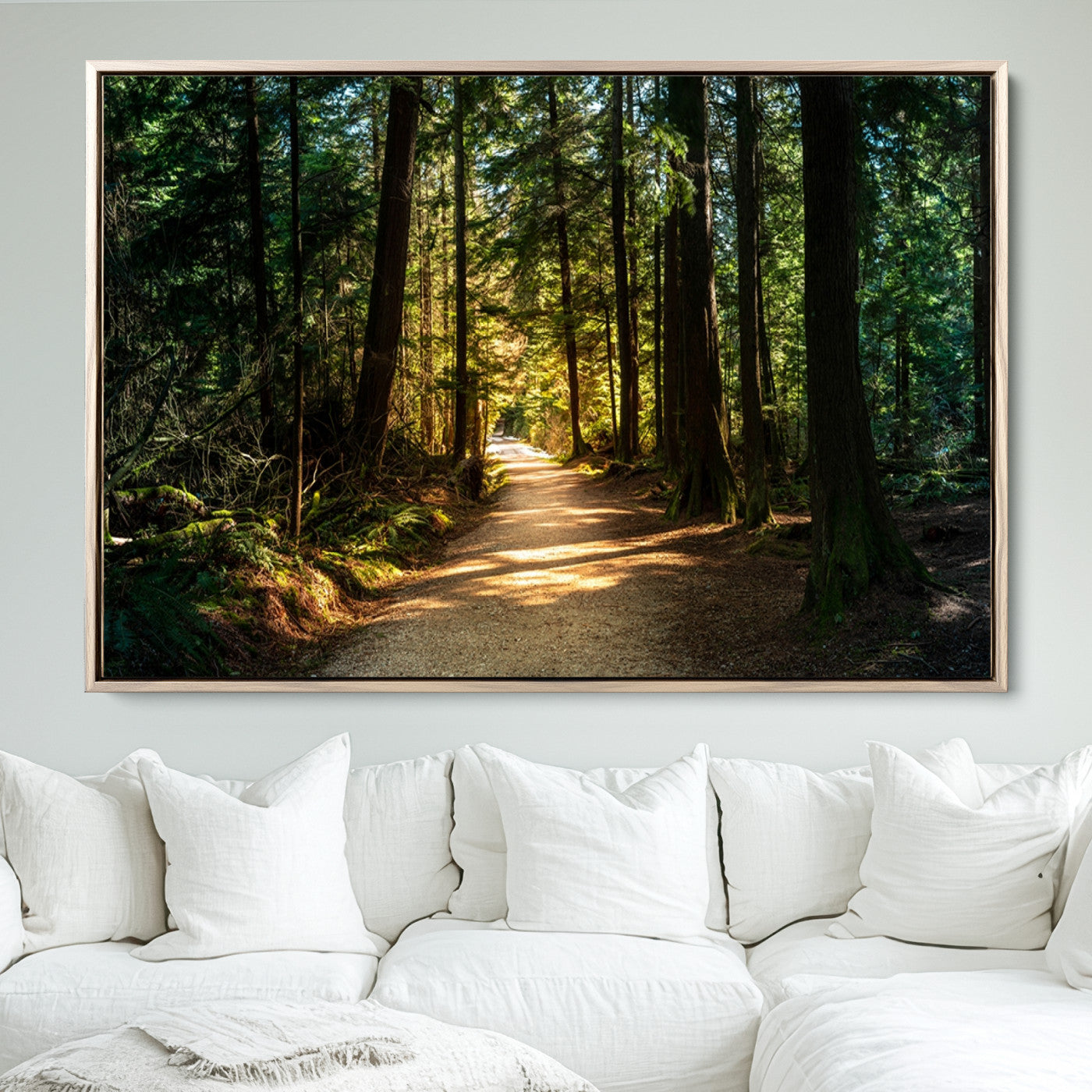 51762-MGV-FC-36X24_Natural-Sunlit Forest Pathway Canvas Print | 3 Panel Large Nature Wall Art for Living Room, Office, or Modern Space | Tranquil Scenic Forest, Ready