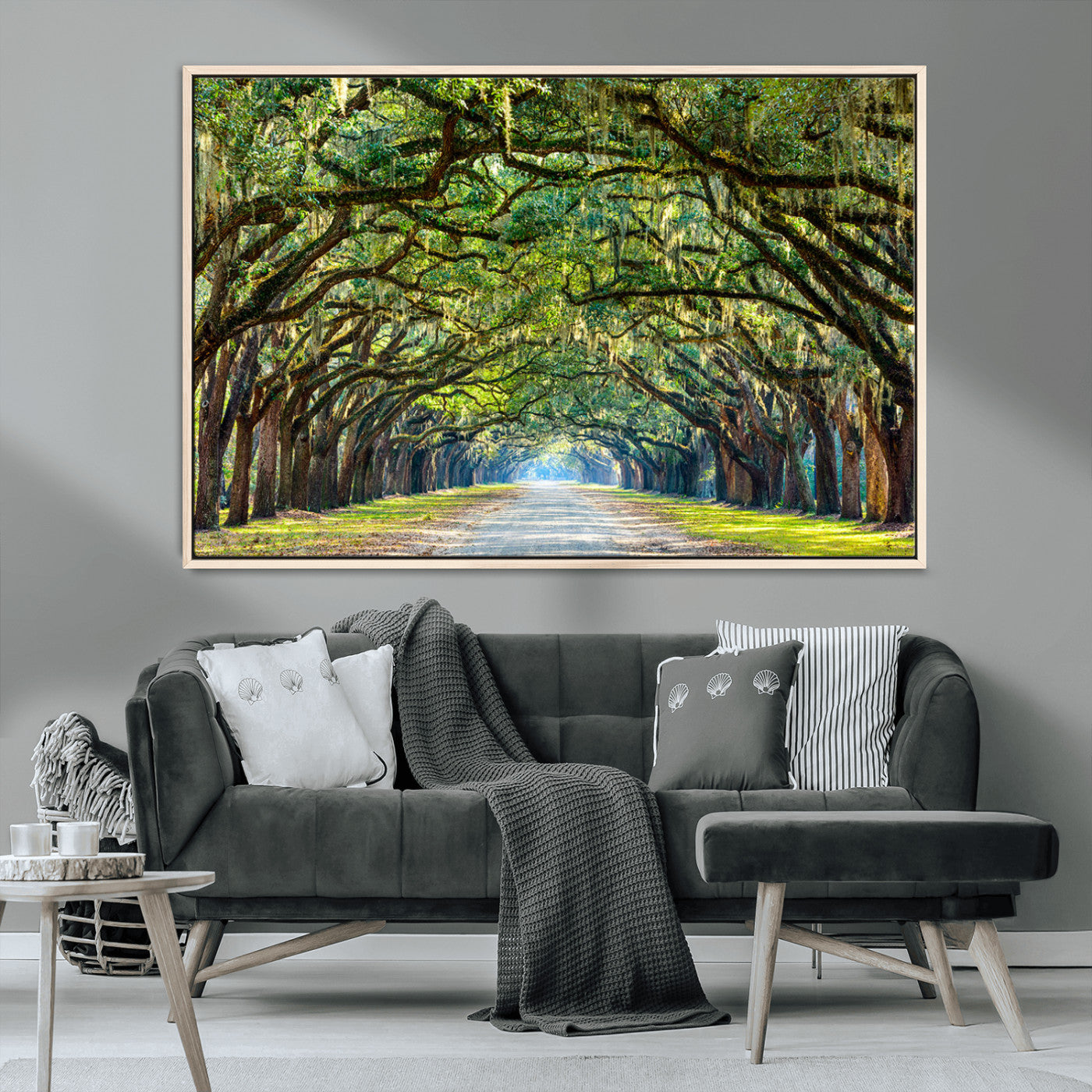 MGV-FC-36X24 - Wormsloe State Plantation Driveway Wall Art Canvas Print