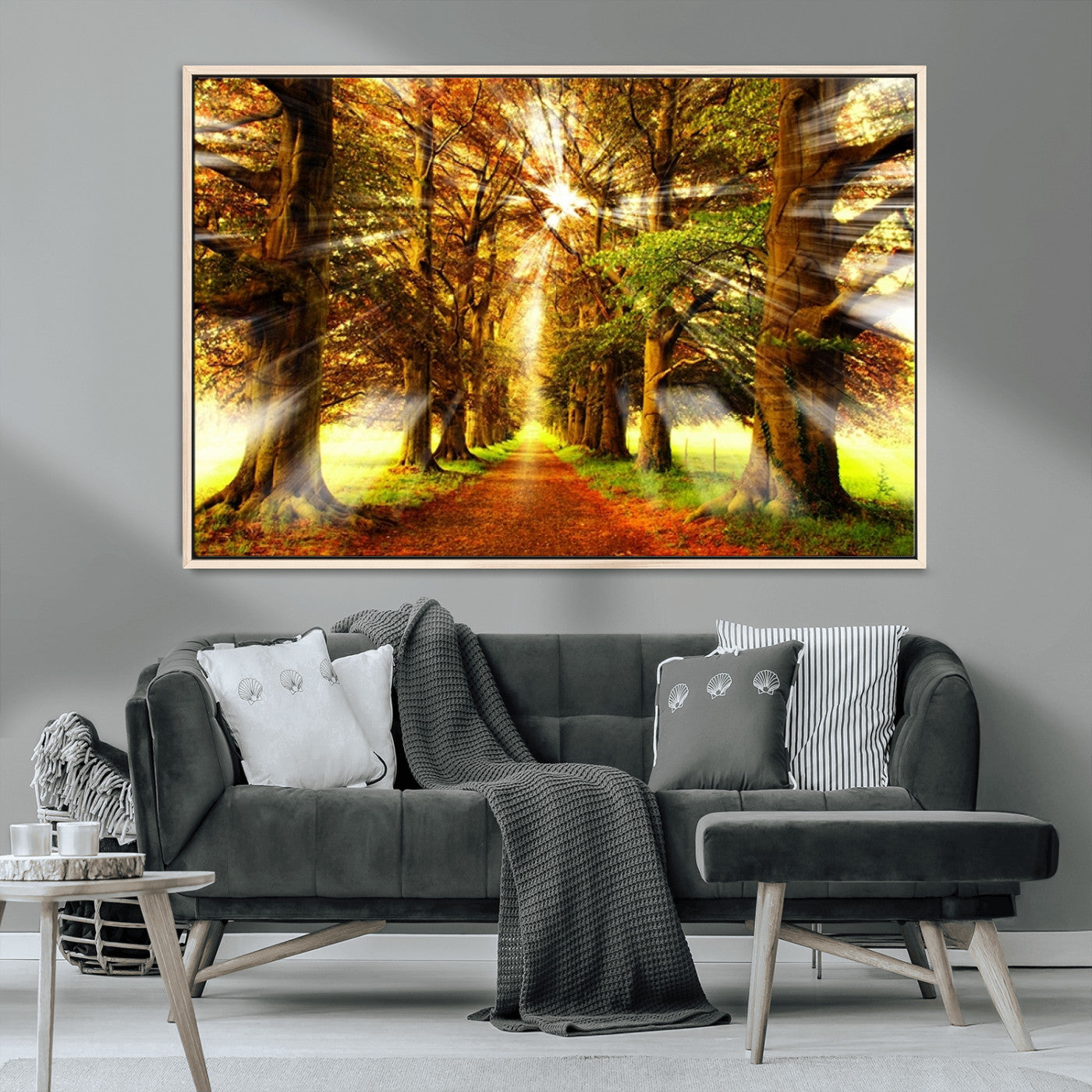 MGV-FC-36X24 - Sunshine in Forest and Trees Wall Art Canvas Print