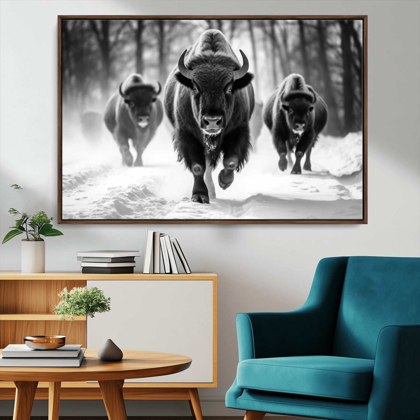 MGV-FC-36X24 - Buffalo Wall Art Canvas Print, Bison Family Wall Art Canvas Print