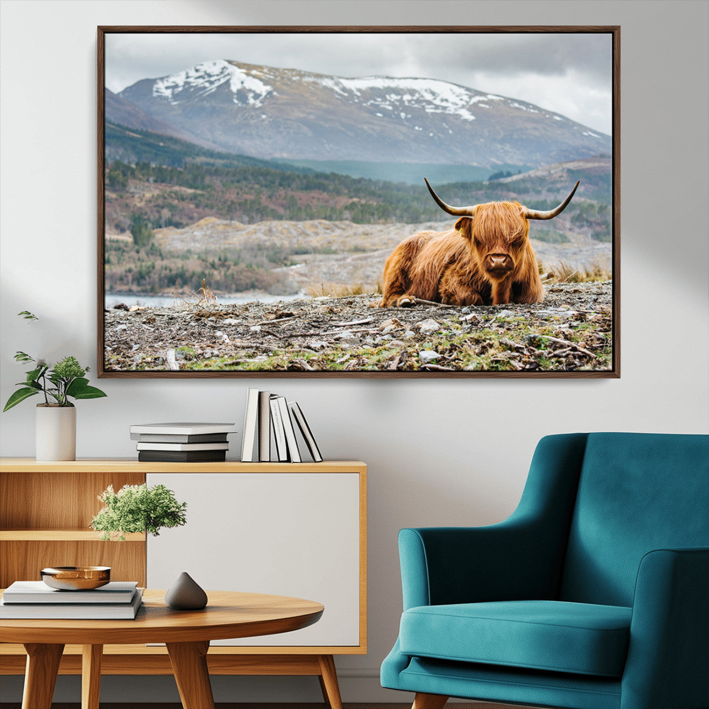 -Highland Cow Horn Farm Wall Art Canvas Print