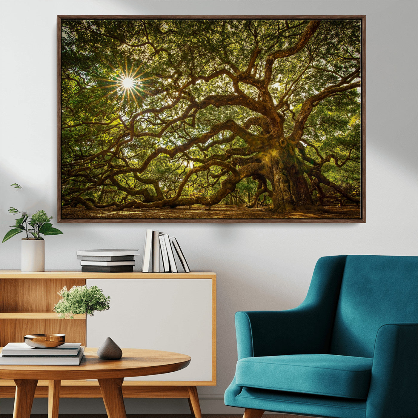 MGV-FC-36X24 - Ancient Angel Oak Tree Art Sunburst Canvas Print- Nature-Inspired Triptych Canvas Print, Framed, Ready to Hang