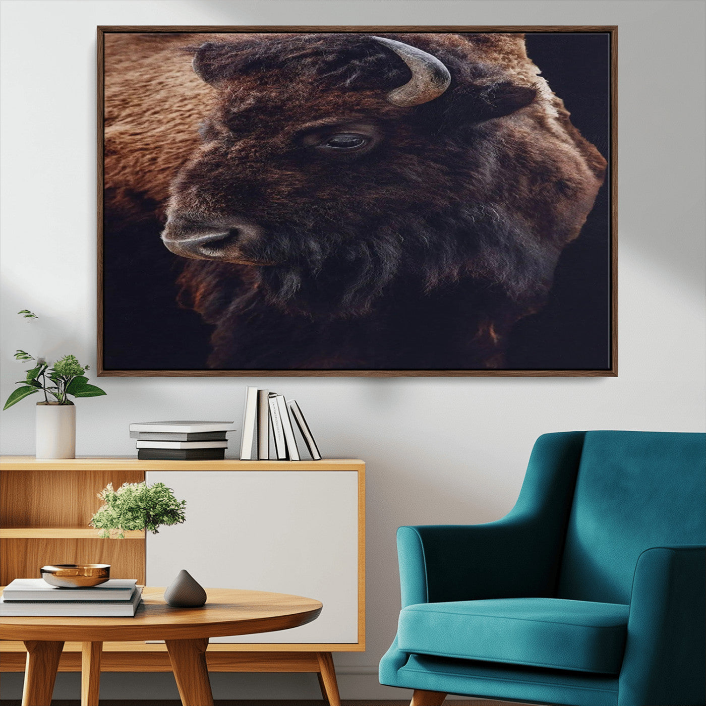 Close-up portrait of a bison with dark fur on a black background, perfect for rustic, lodge, or Western-style interior wall decor.