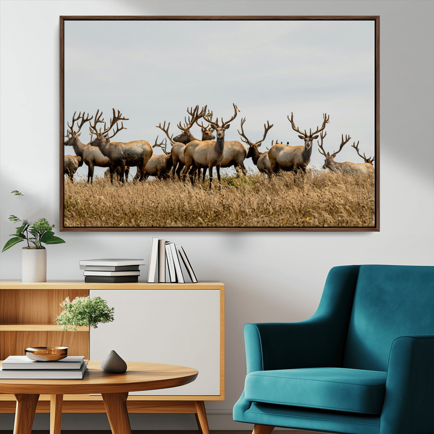 MGV-FC-36X24 - Elk Herd Wall Art Canvas Print, Framed Wildlife Photography Art Picture Print, Majestic Antlers Perfect Rustic Wildlife Decor Artwork