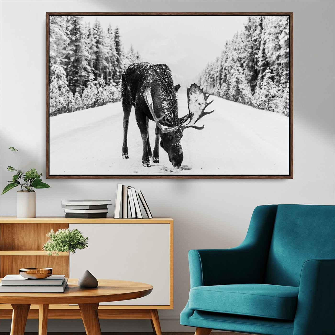A majestic moose grazing in the snow-covered wilderness, surrounded by snow-covered trees, creating a peaceful winter scene.