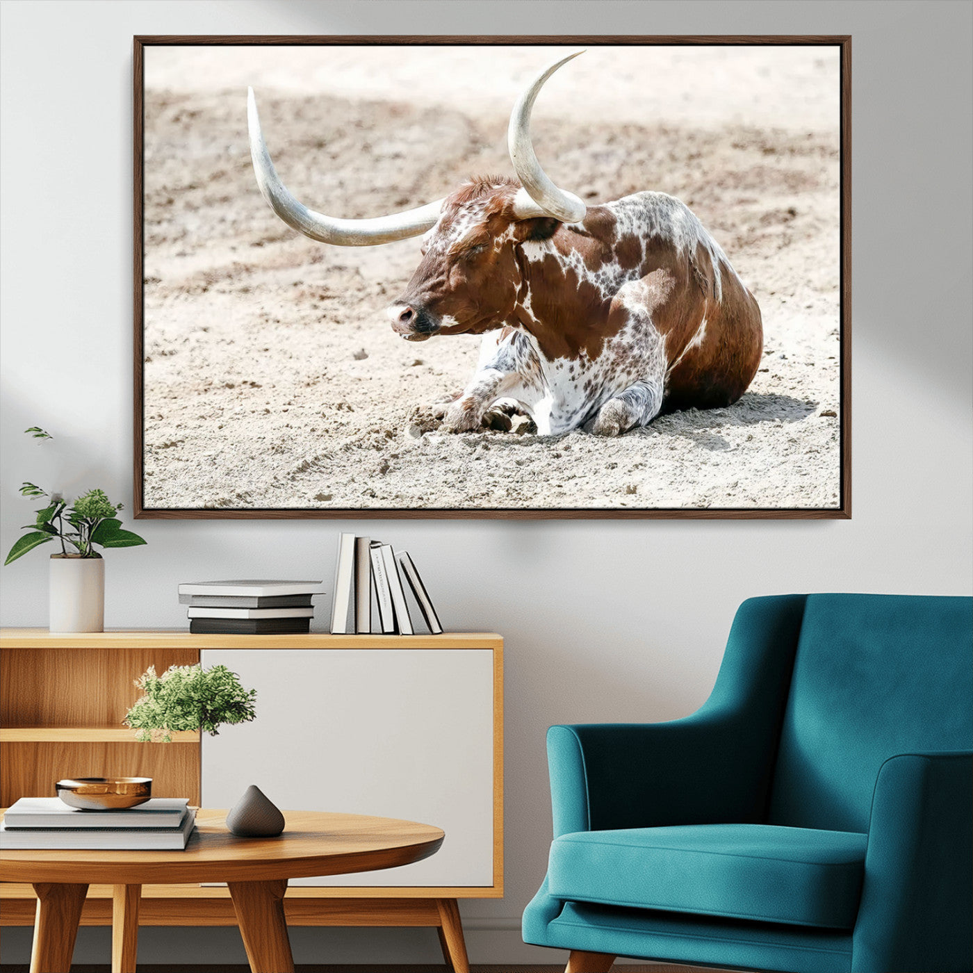 MGV-FC-36X24 - Majestic Longhorn Resting on Sunlit Desert Ground – Striking Western-Themed Wall Art Canvas Print