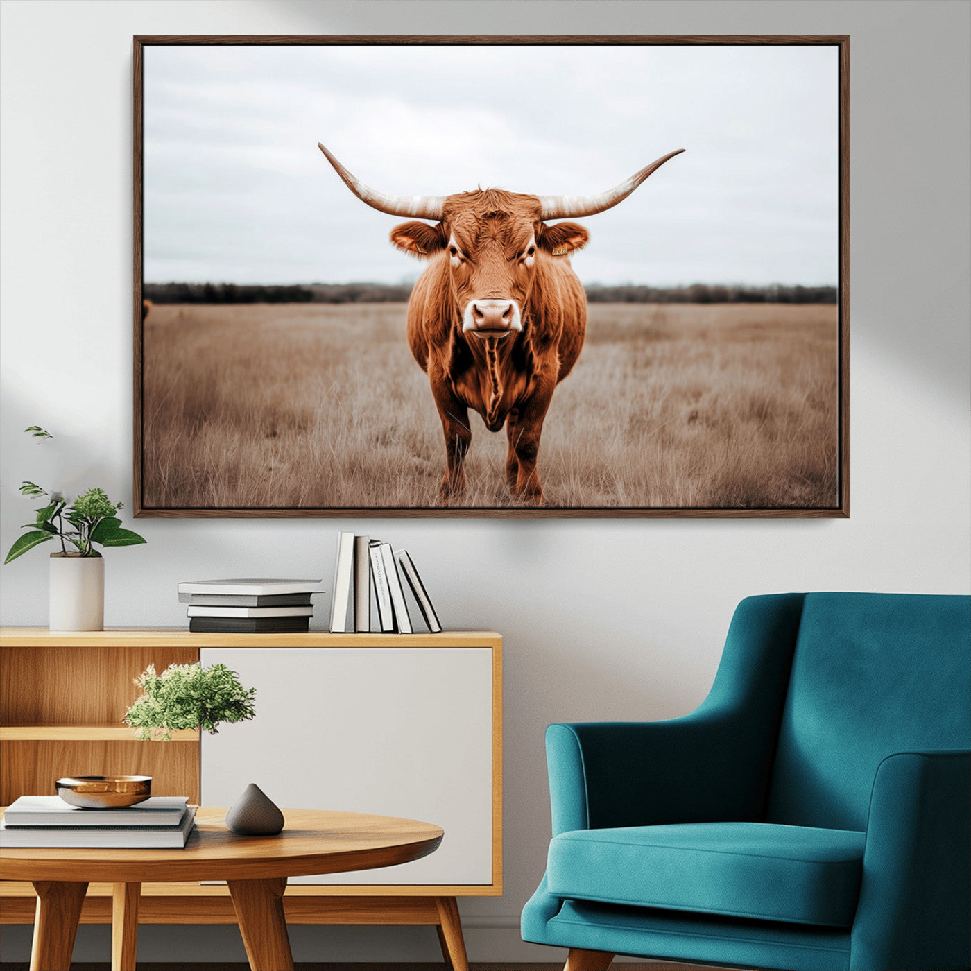 MGV-FC-36X24 - Longhorn bull, open field, rustic charm, natural beauty, Wall Art Canvas Print, countryside,