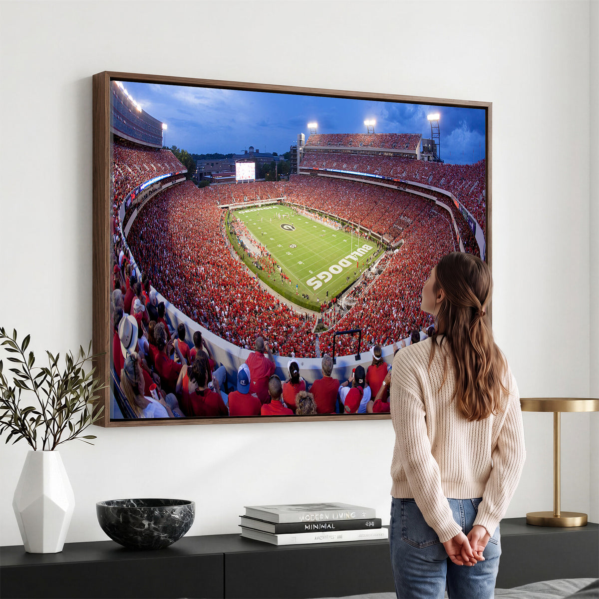 10244378-MGV-CV-36X24 - Dooley Stadium Wall Art, Sports Arena Canvas Print, Dooley Field, Home Bar Wall Decor