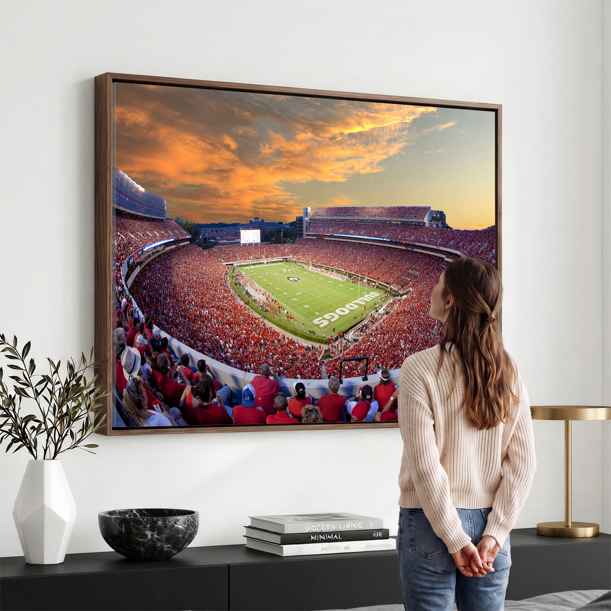 73680988-MGV-CV-36X24 - Dooley Stadium Wall Art, Sports Arena Canvas Print, Dooley Field, Framed and Ready to Hang