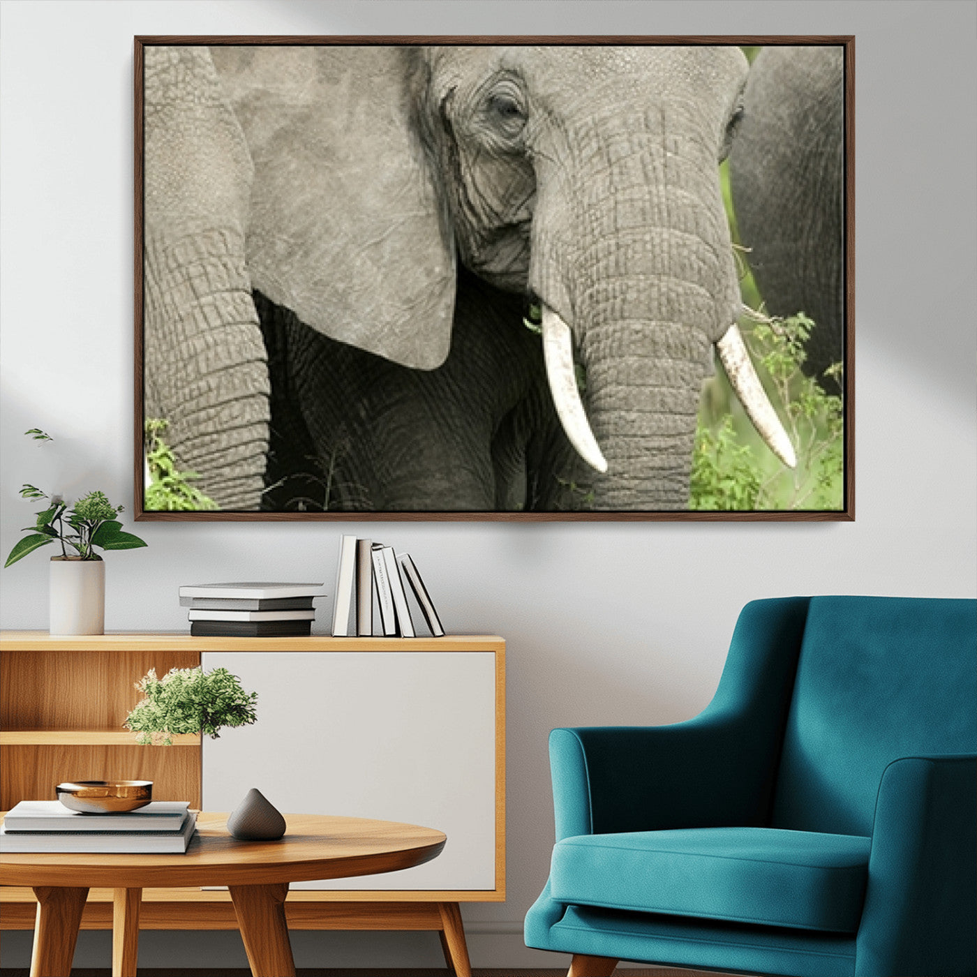 MGV-FC-36X24 - Wild Elephant Wall Art Canvas Print