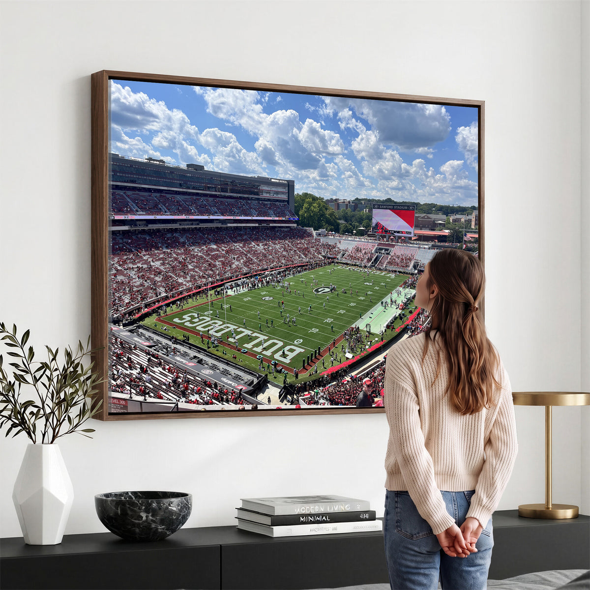 10665453-MGV-CV-36X24 - Georgia Bulldogs Stadium Wall Art Canvas Print, Sanford, Framed and Ready to Hang