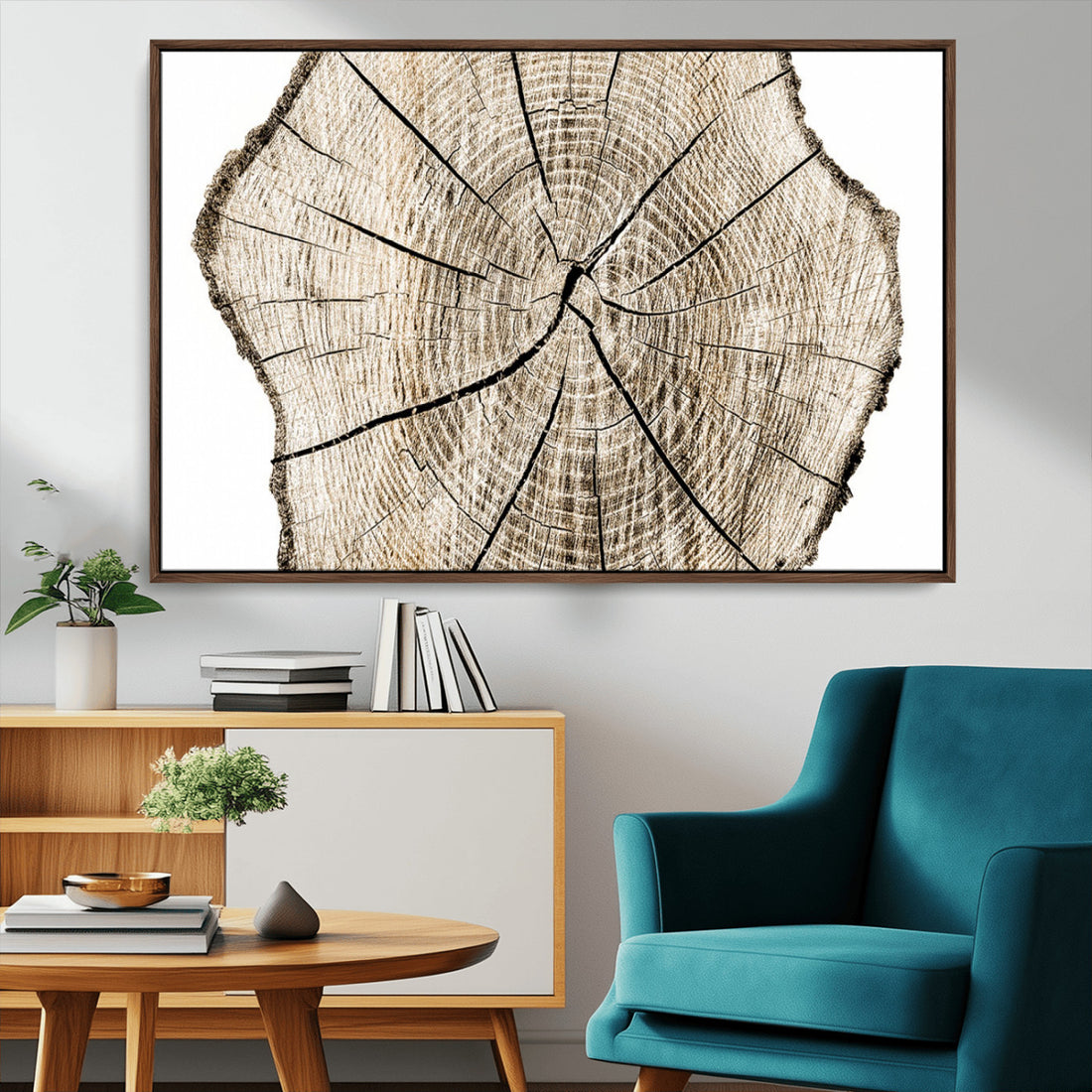 Abstract Wood Tree Ring Wall Art, Ready to Hang Minimalist Decor, Set of 3