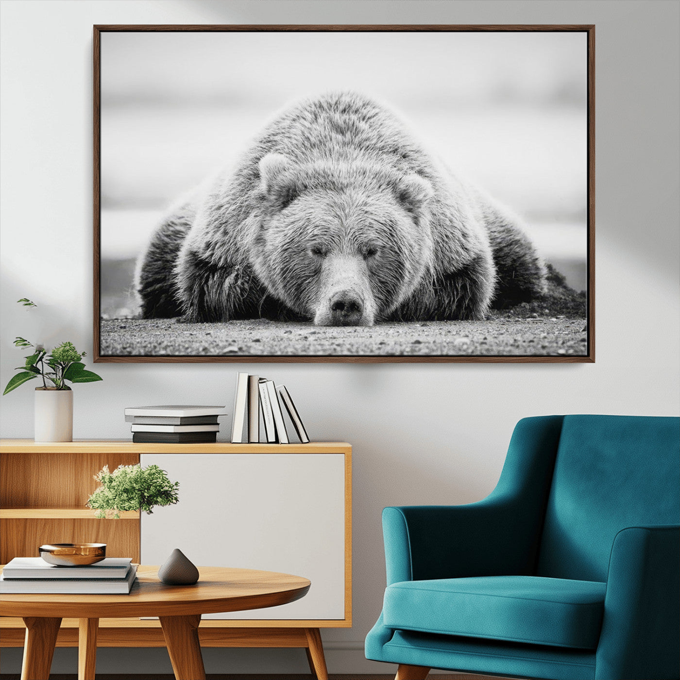MGV-FC-36X24 - Resting Grizzly Bear Wall Art Canvas Print – Majestic Lazy Black and White Wildlife Bear Art,