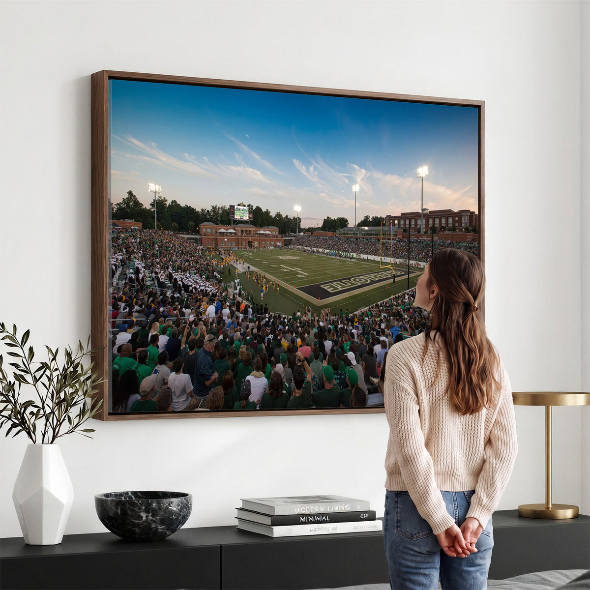 12290-MGV-CV-36X24 - University of Charlotte 49ers Football Team Print - Charlotte Jerry Richardson Stadium Wall Art