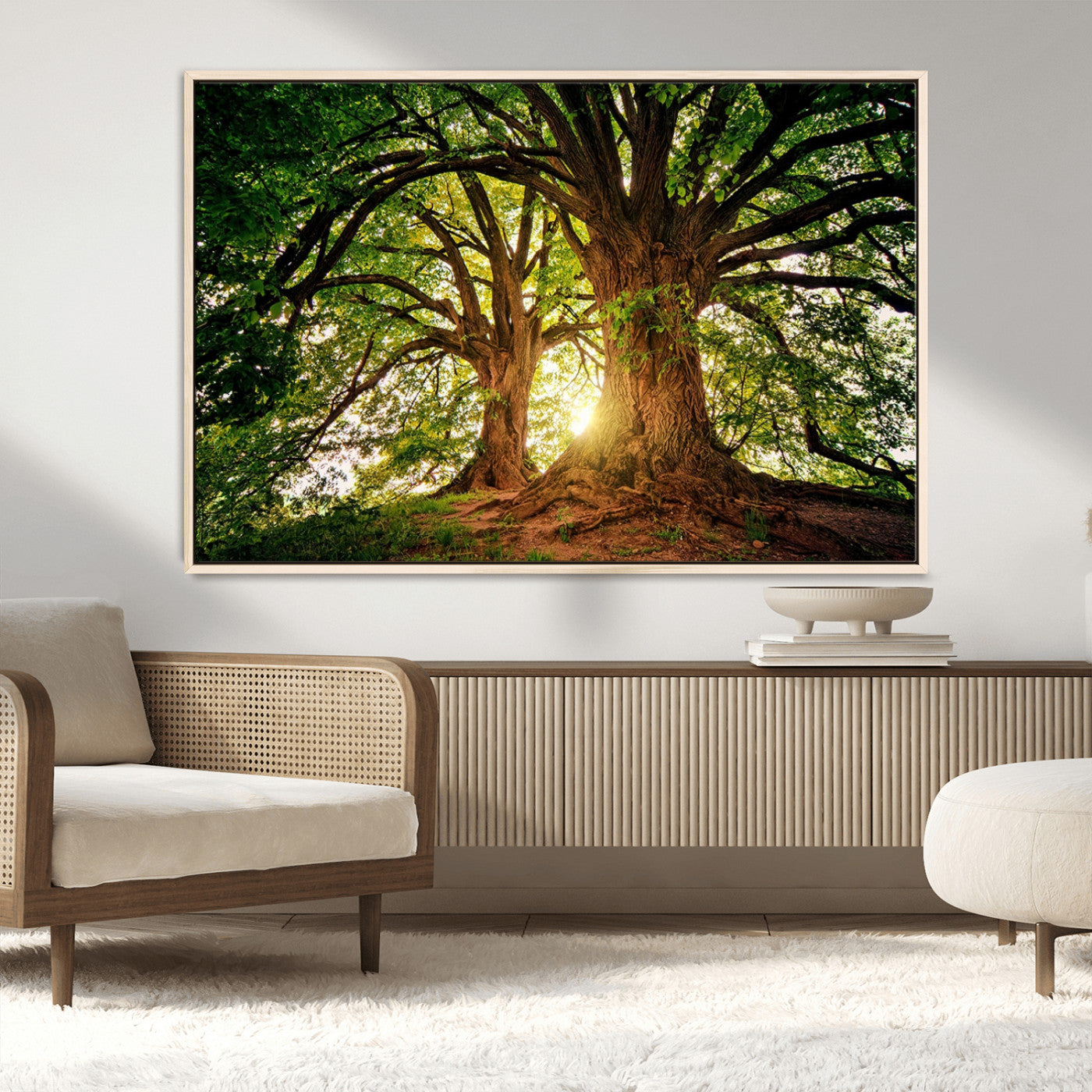 MGV-FC-36X24 - Majestic Ancient Tree Wall Art, Nature-Inspired Canvas Print, Woodland Art, Tree of Life Artwork, Sunlit Forest, Giclee Nature Print