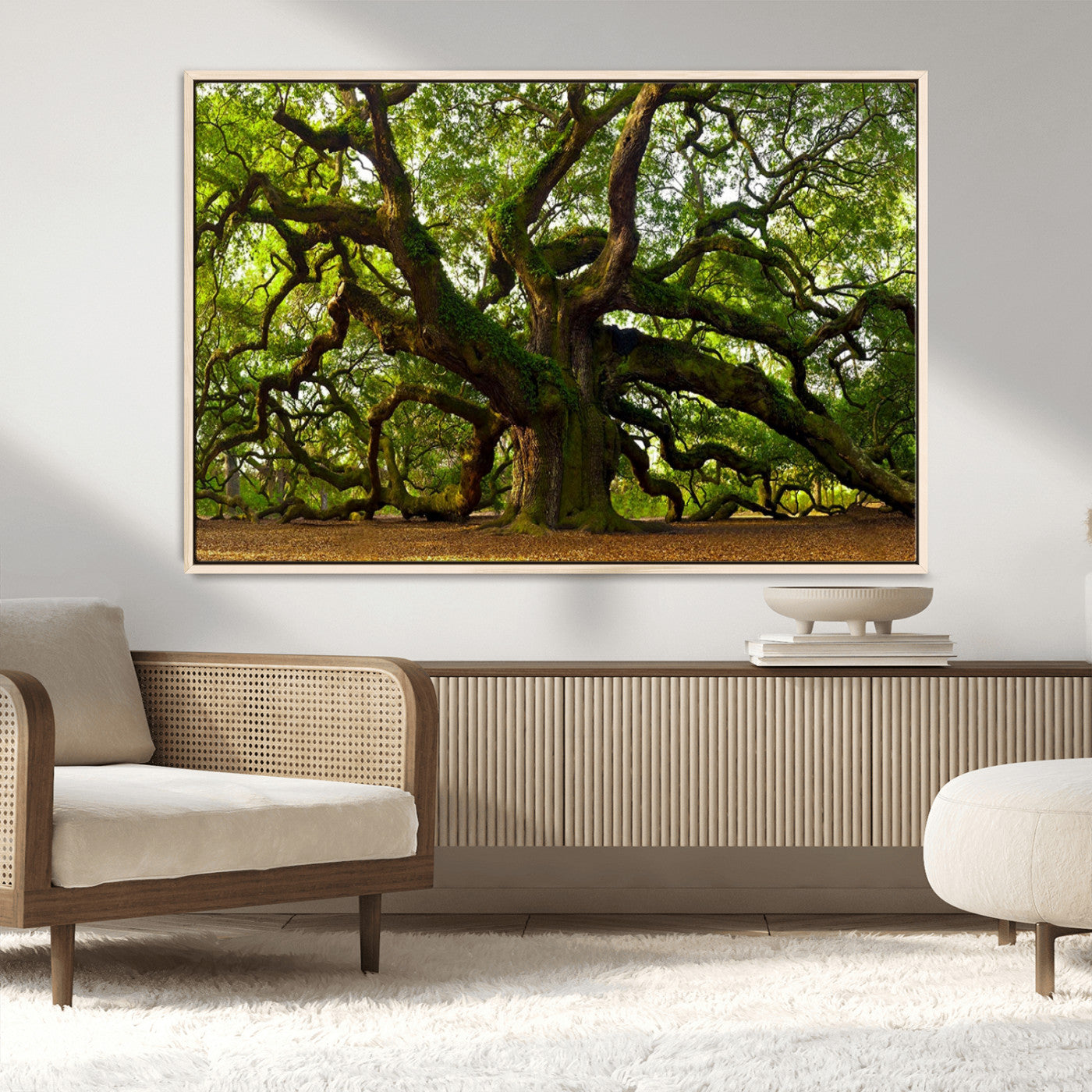 MGV-FC-36X24 - Angel Oak Tree Wall Art Canvas Print | Forest Tree Nature Photography Print on Canvas | Large Triptych Art for Living Room or Office Decor