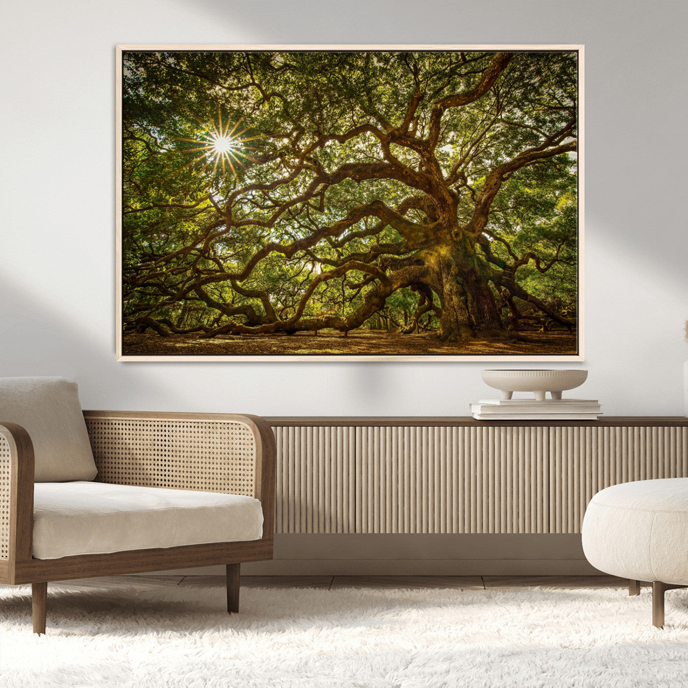 MGV-FC-36X24 - Ancient Angel Oak Tree Art Sunburst Canvas Print- Nature-Inspired Triptych Canvas Print, Framed, Ready to Hang