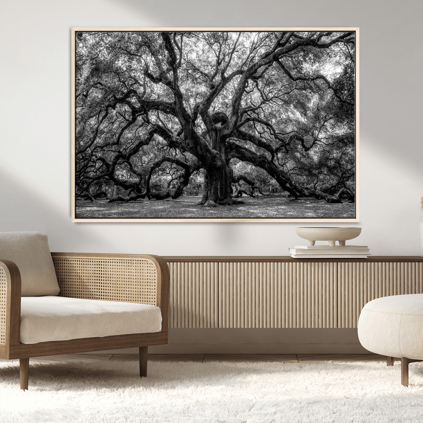 MGV-FC-36X24 - Black and White Old Angel Oak Tree Wall Art Canvas Print