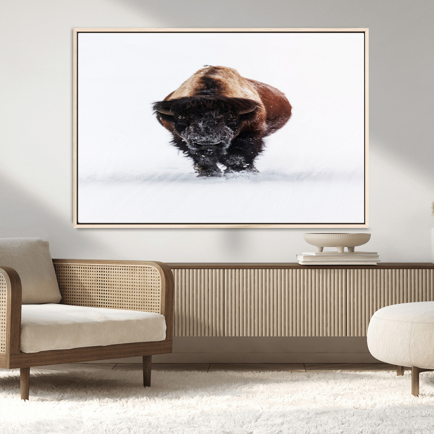 Front view of a strong bison walking in deep snow, isolated white background, perfect for rustic or lodge-style home decor.
