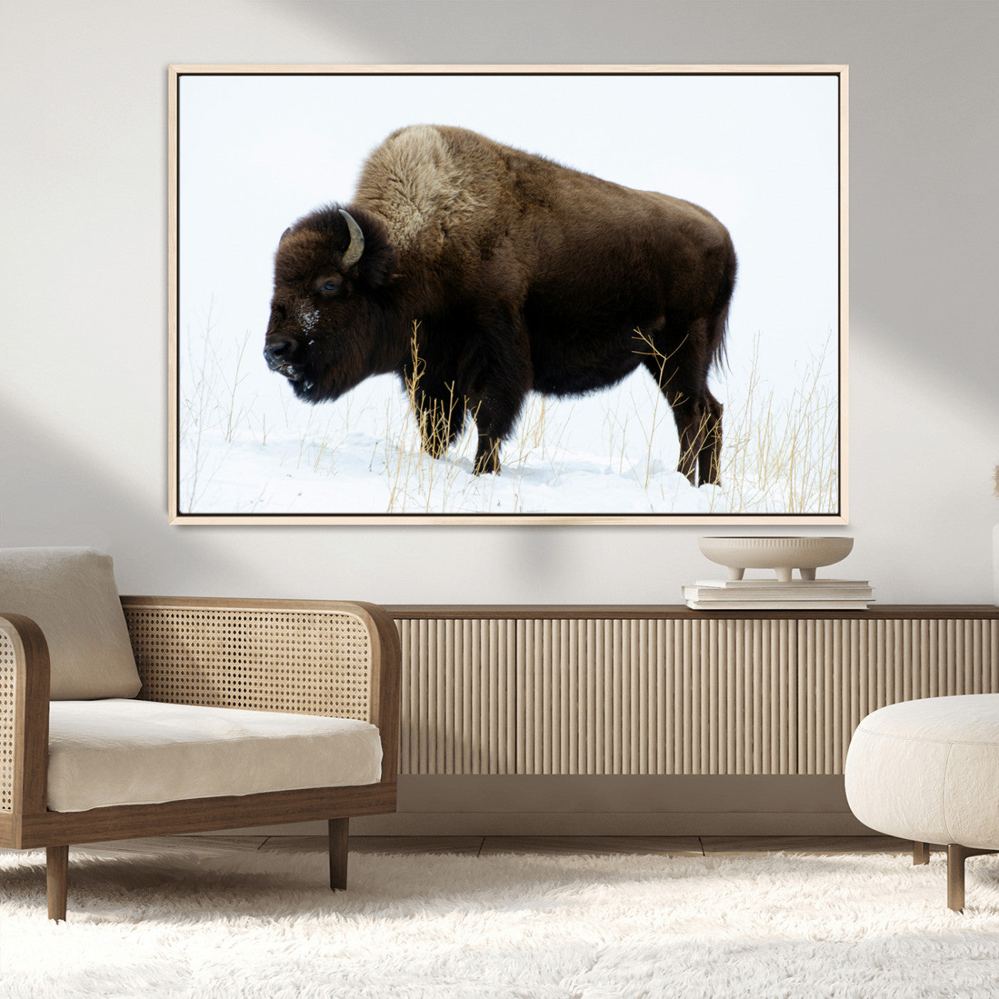 MGV-FC-36X24 - Bison Photography Wall Art Canvas Print, Framed Western Wildlife Art Picture Print, Buffalo On Snow Perfect Western Decor Artwork