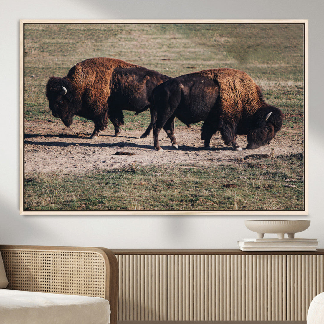Bison Wall Art Canvas Print, Framed Western Wildlife Modern Ranch
