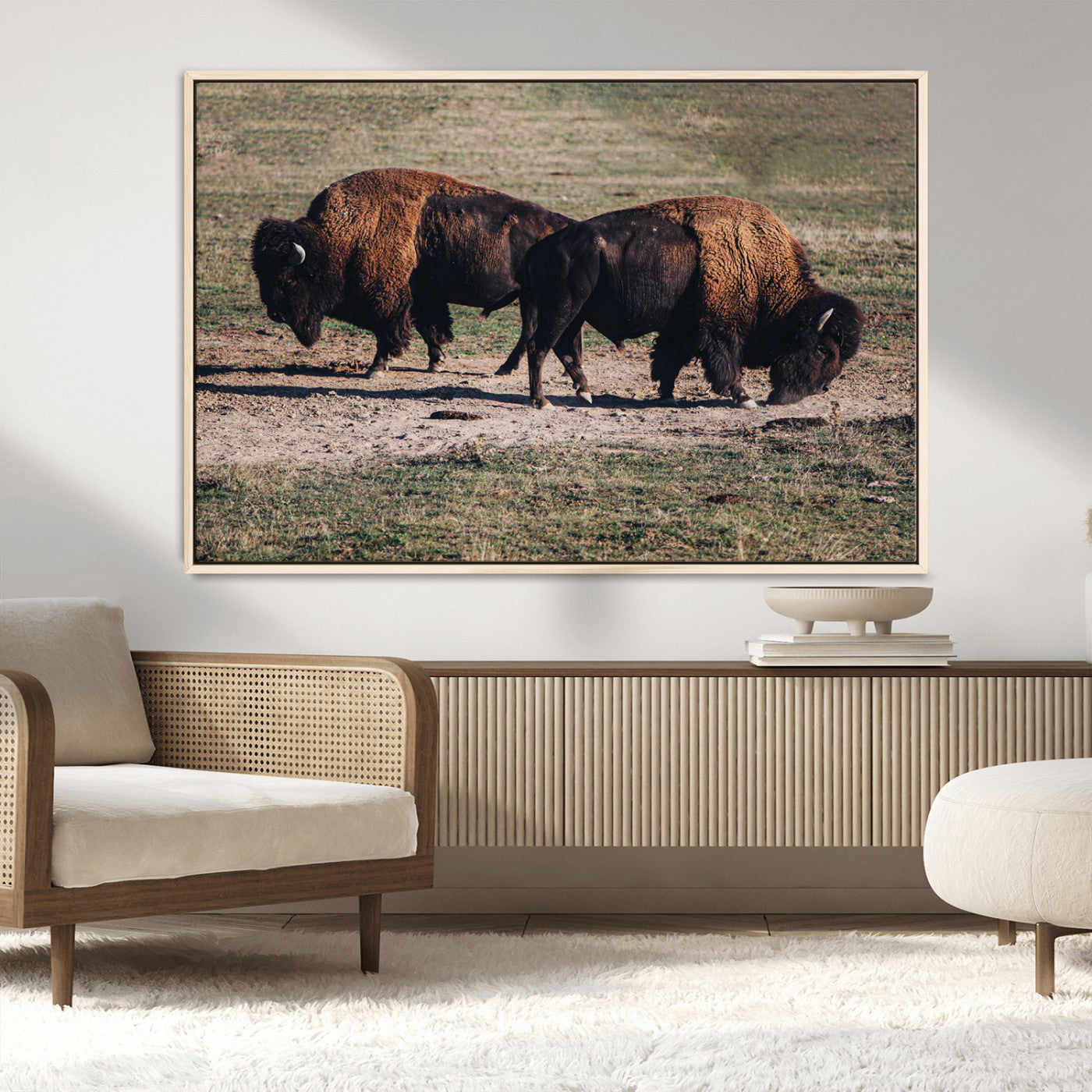 MGV-FC-36X24 - Bison Photography Wall Art Canvas Print, Framed Western Wildlife Art Picture Print, Modern Ranch Perfect Western Rustic Decor Artwork