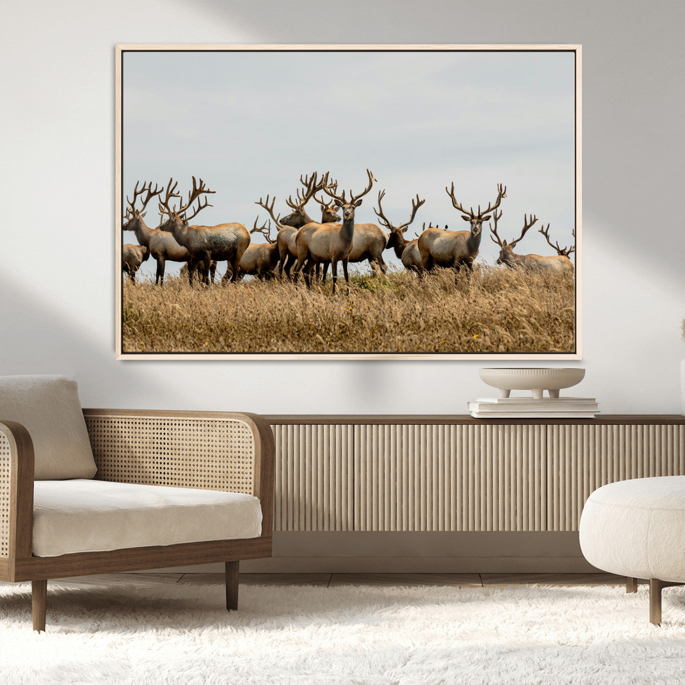 MGV-FC-36X24 - Elk Herd Wall Art Canvas Print, Framed Wildlife Photography Art Picture Print, Majestic Antlers Perfect Rustic Wildlife Decor Artwork