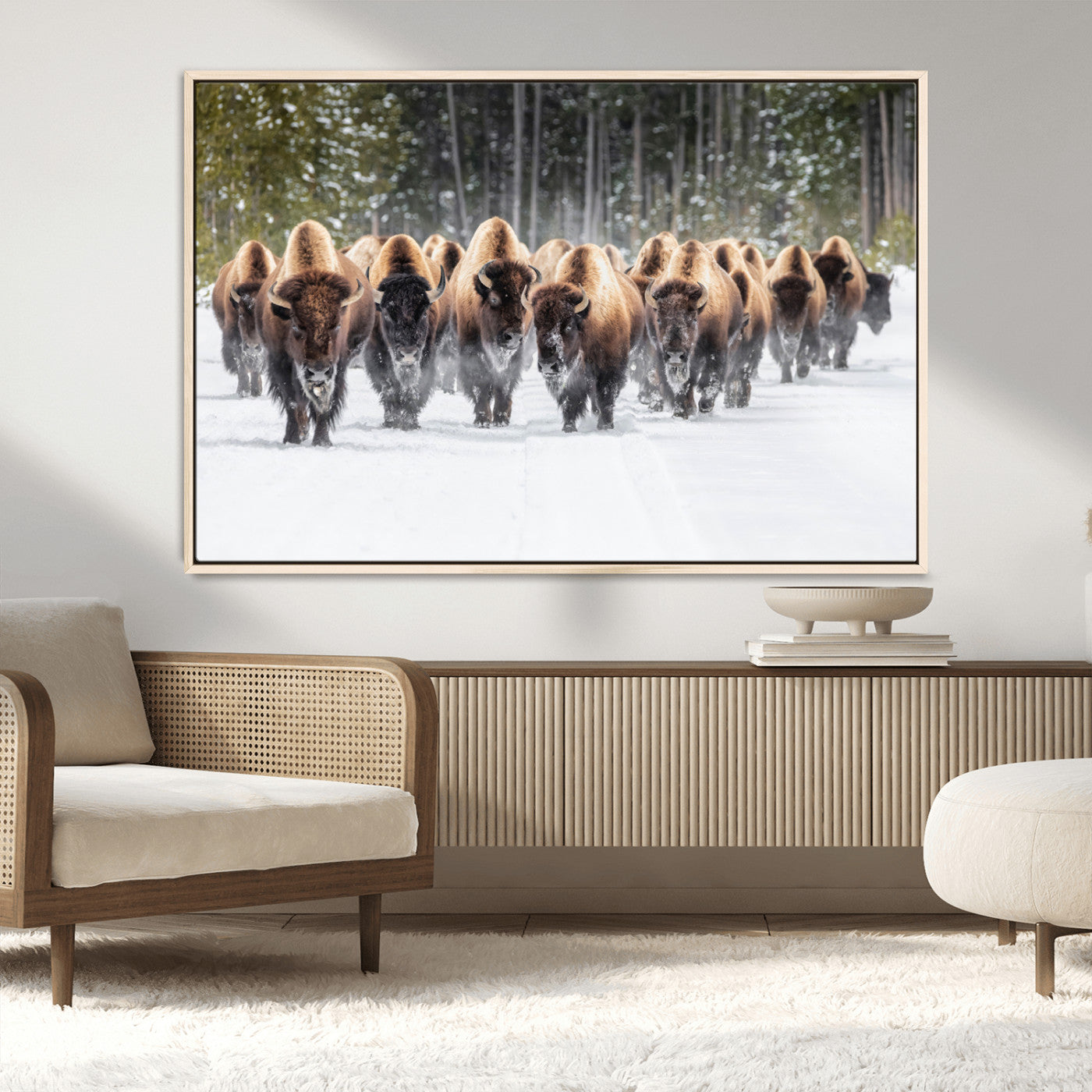 MGV-FC-36X24 - American Bison Herd in Snow Wall Art Canvas Print – Powerful Winter Wildlife Scene with Buffalo in