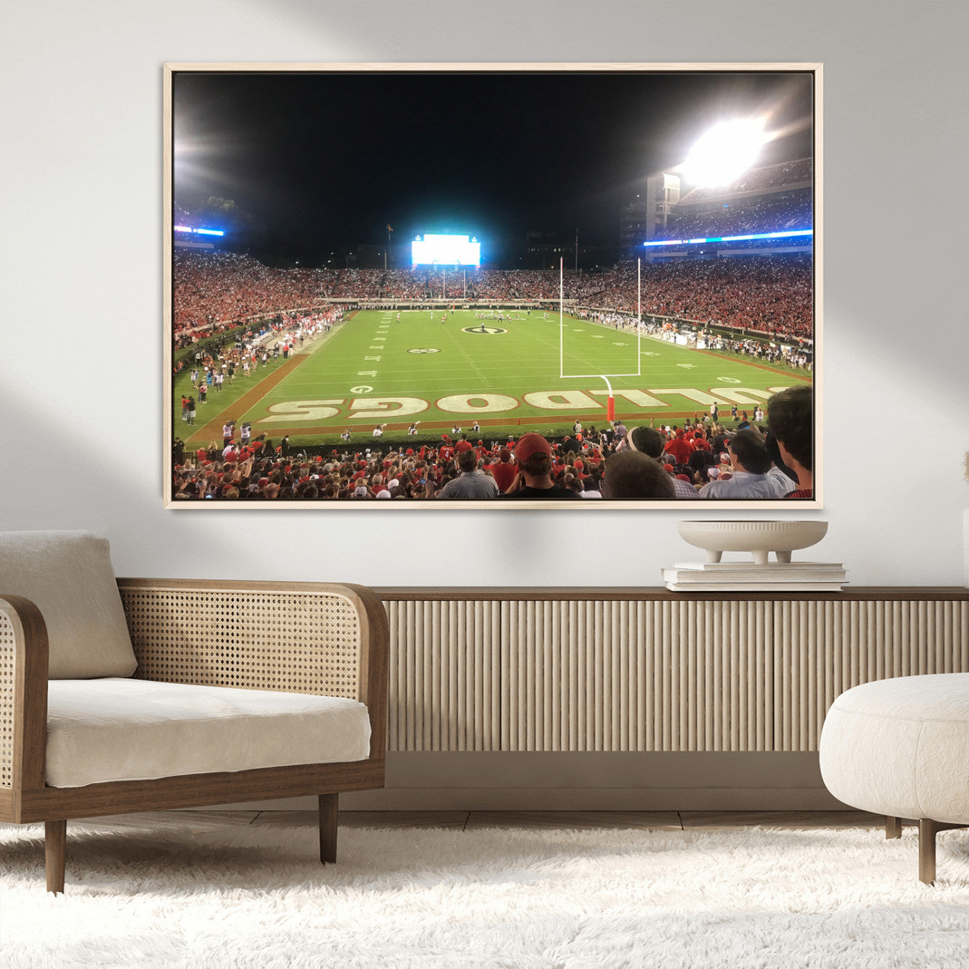 Dooley Stadium Wall Art Print, Sports Arena Canvas Wall Art, Panoramic Stadium Canvas Print, Modern Athletic Field Art Printing