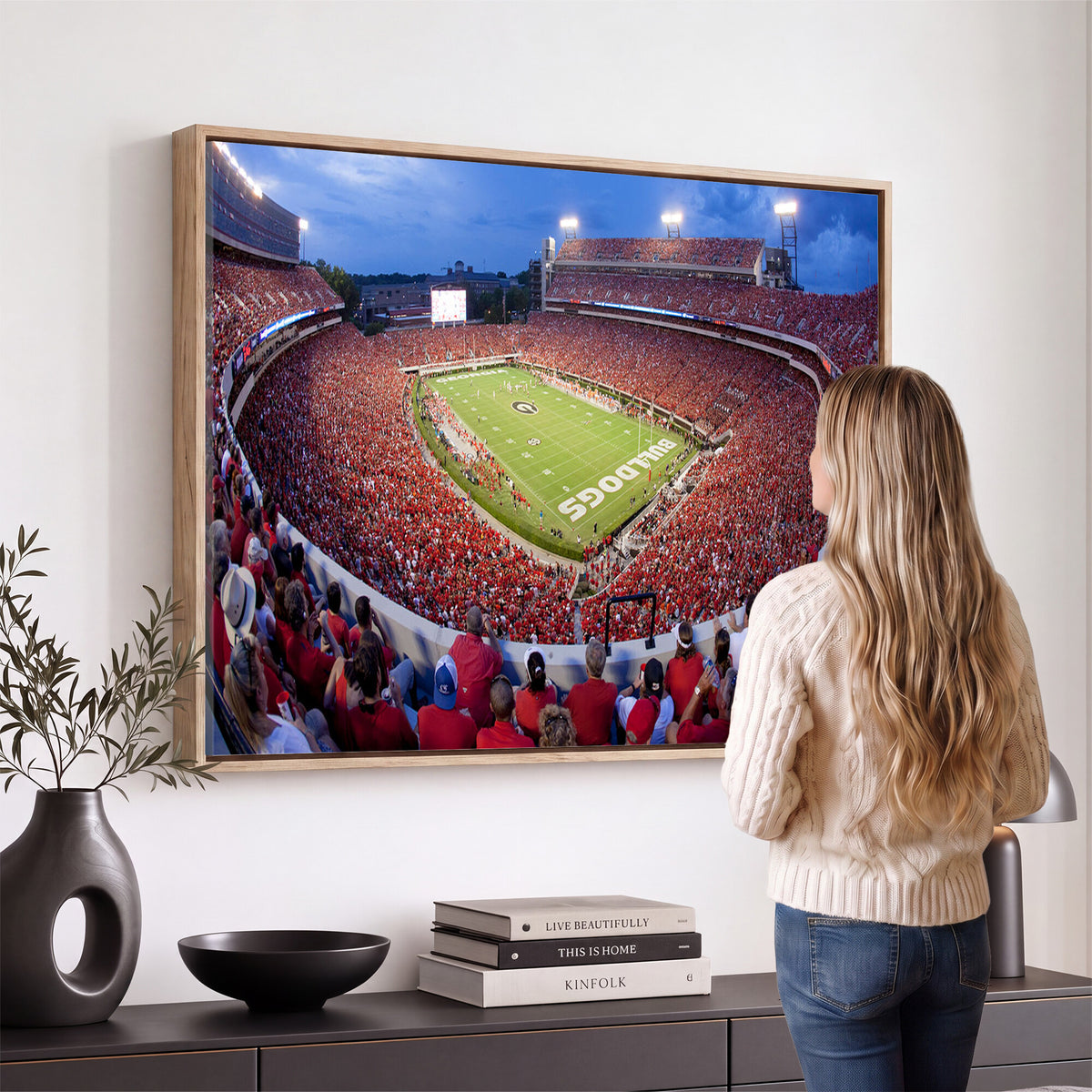 10244378-MGV-CV-36X24 - Dooley Stadium Wall Art, Sports Arena Canvas Print, Dooley Field, Home Bar Wall Decor